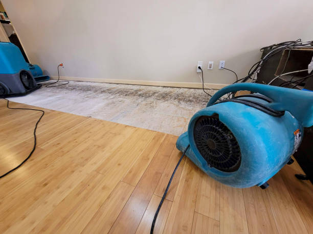 Reliable Basement Flood Cleanup contractor in Franklin, ME by Hirex Water Damage