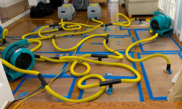 Professional Basement Flood Cleanup technician working in Franklin, ME